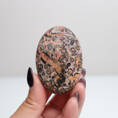Leopard Skin Jasper Palm Stone | 23