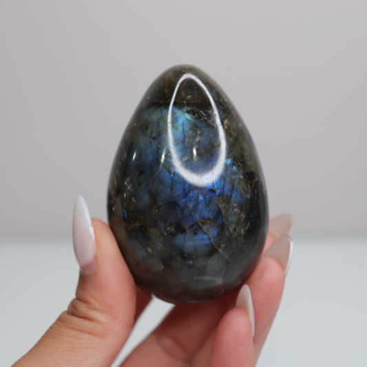 Labradorite Egg | 41