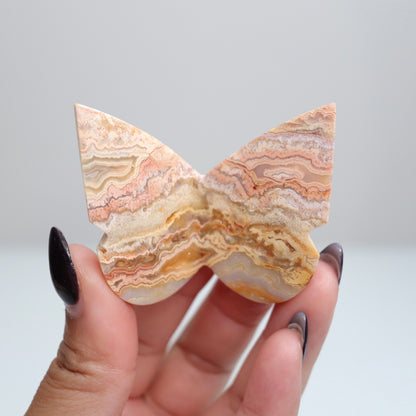 Crazy Lace Agate Butterfly | 1
