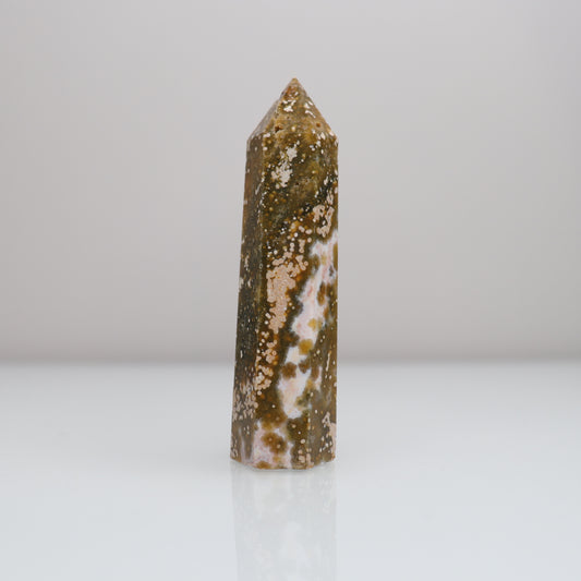 Ocean Jasper Tower 5