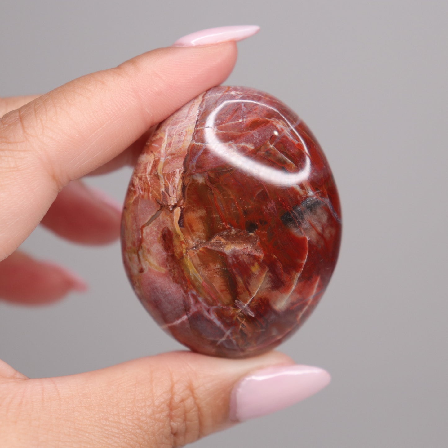Petrified Wood Palm Stone | 2