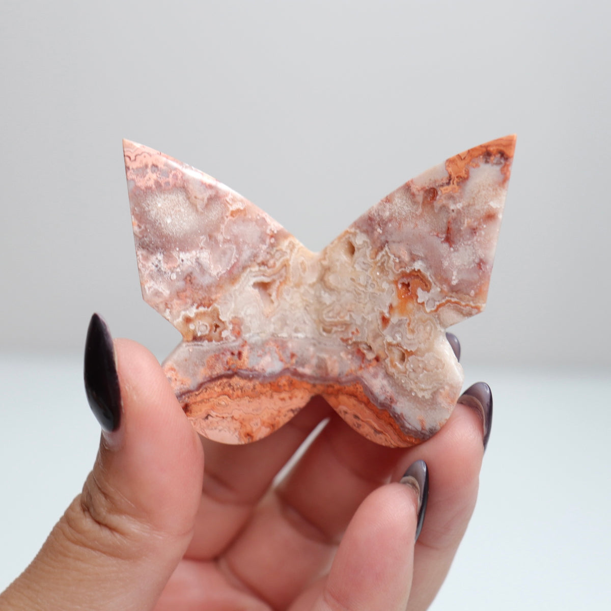 Crazy Lace Agate Butterfly | 27