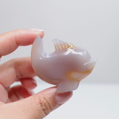 Agate Dolphin | 2