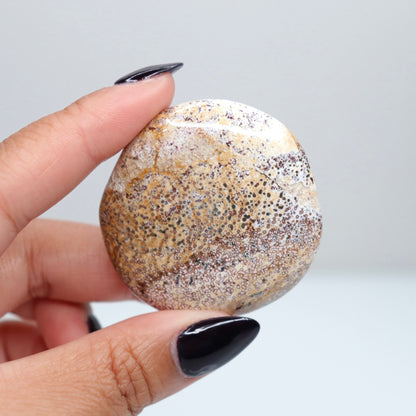 Unicorn Jasper Flat Stone 43