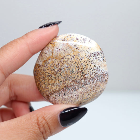 Unicorn Jasper Flat Stone 43