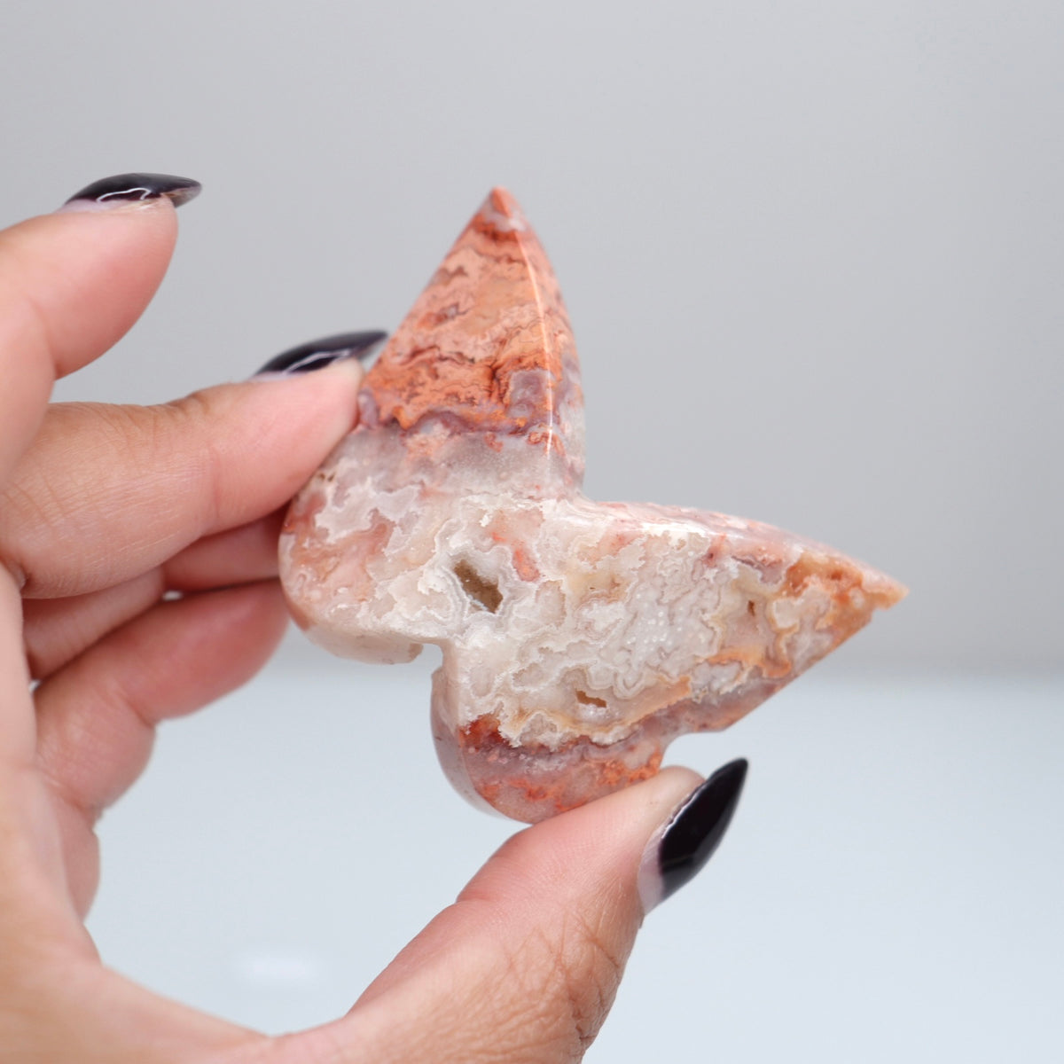 Crazy Lace Agate Butterfly | 26