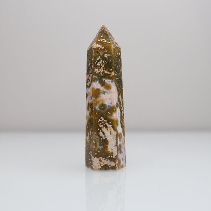 Ocean Jasper Tower 5