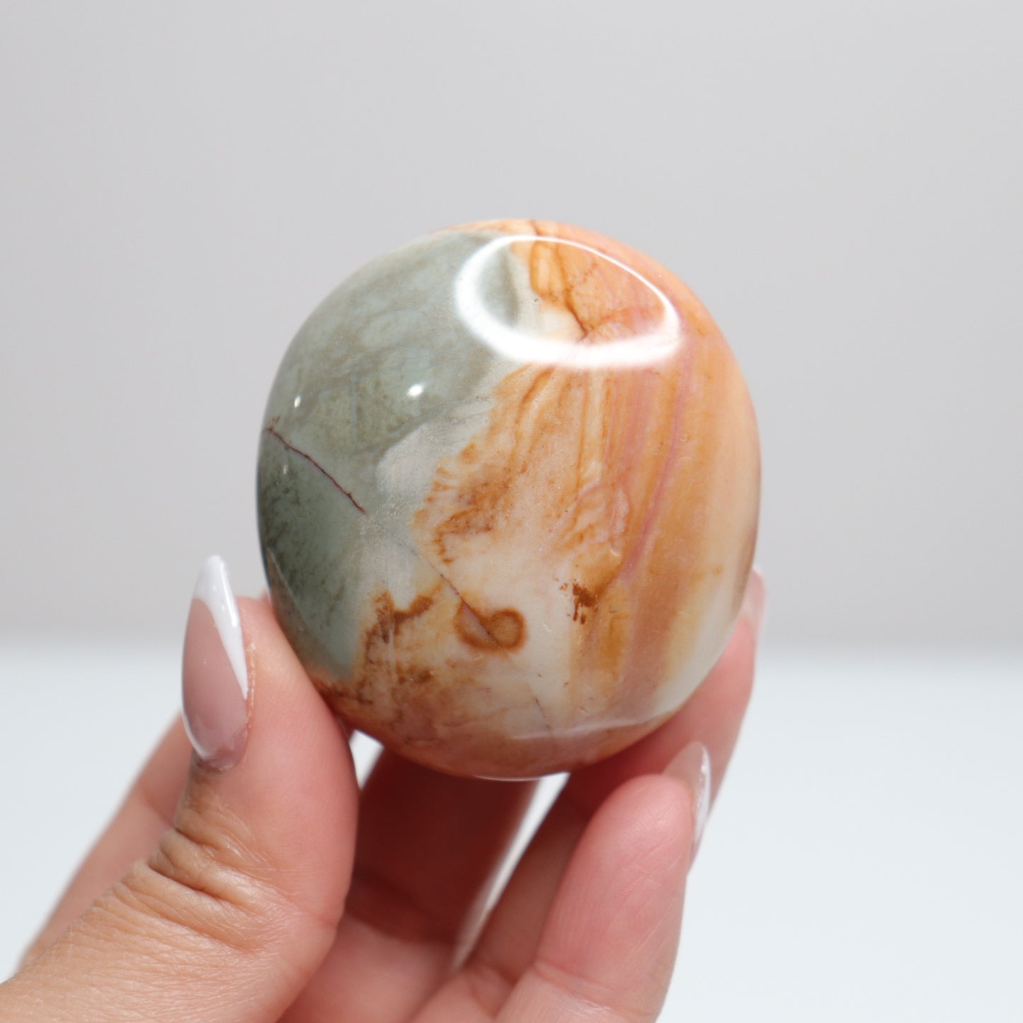 Polychrome Jasper Palm Stone | 16