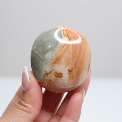 Polychrome Jasper Palm Stone | 16