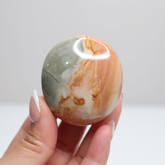 Polychrome Jasper Palm Stone | 16