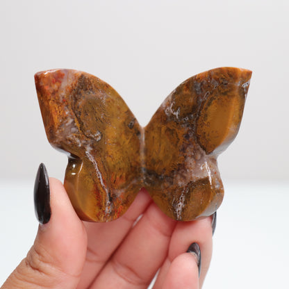 Cobra Jasper Butterfly 4