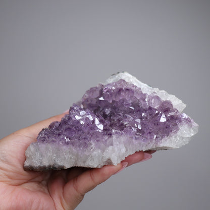 Amethyst Cluster | 1