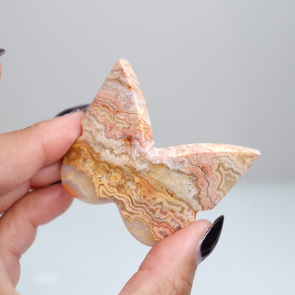 Crazy Lace Agate Butterfly | 1