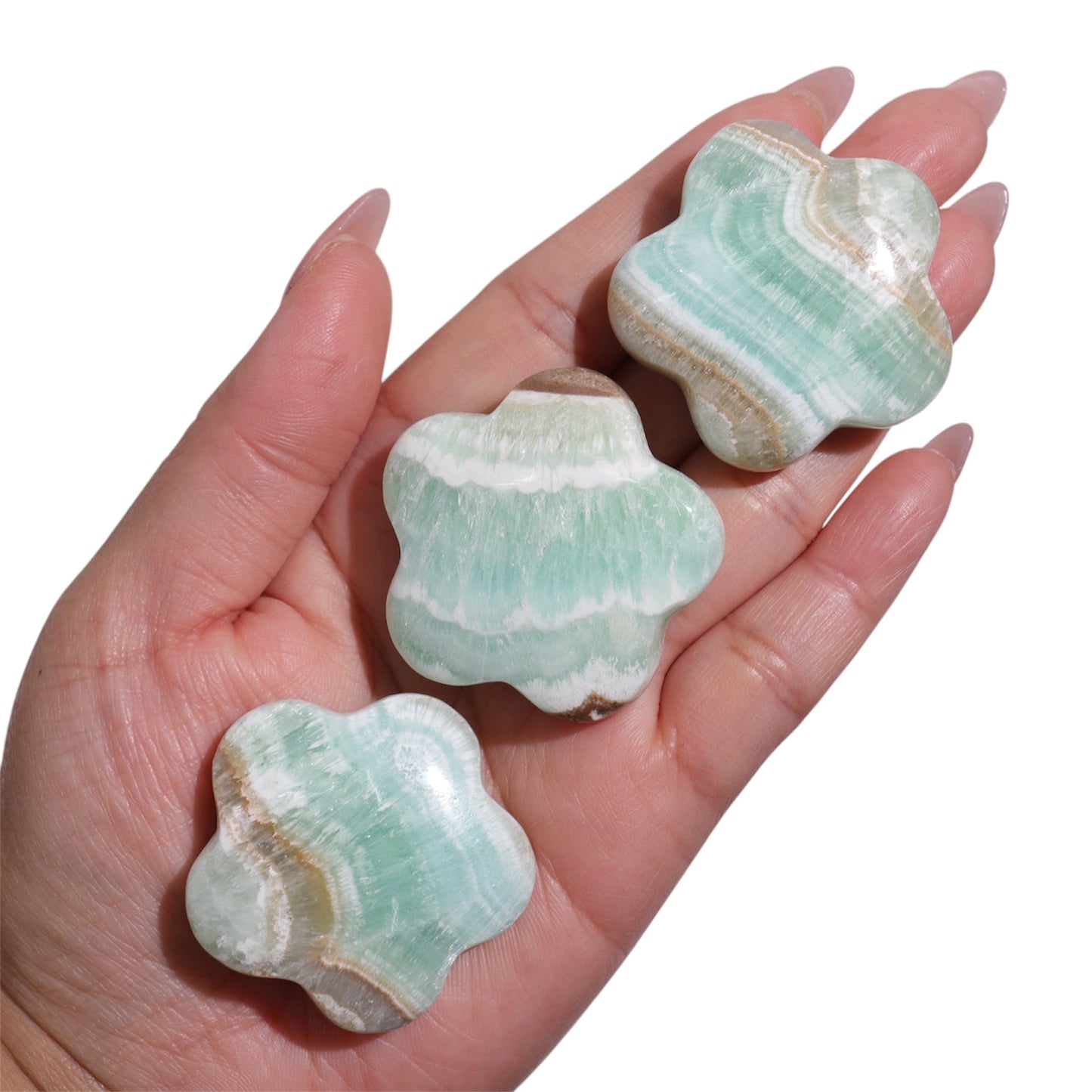 Caribbean Calcite Flowers