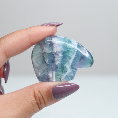 Durango Fluorite Mini Bear 4
