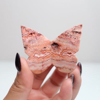 Crazy Lace Agate Butterfly | 21