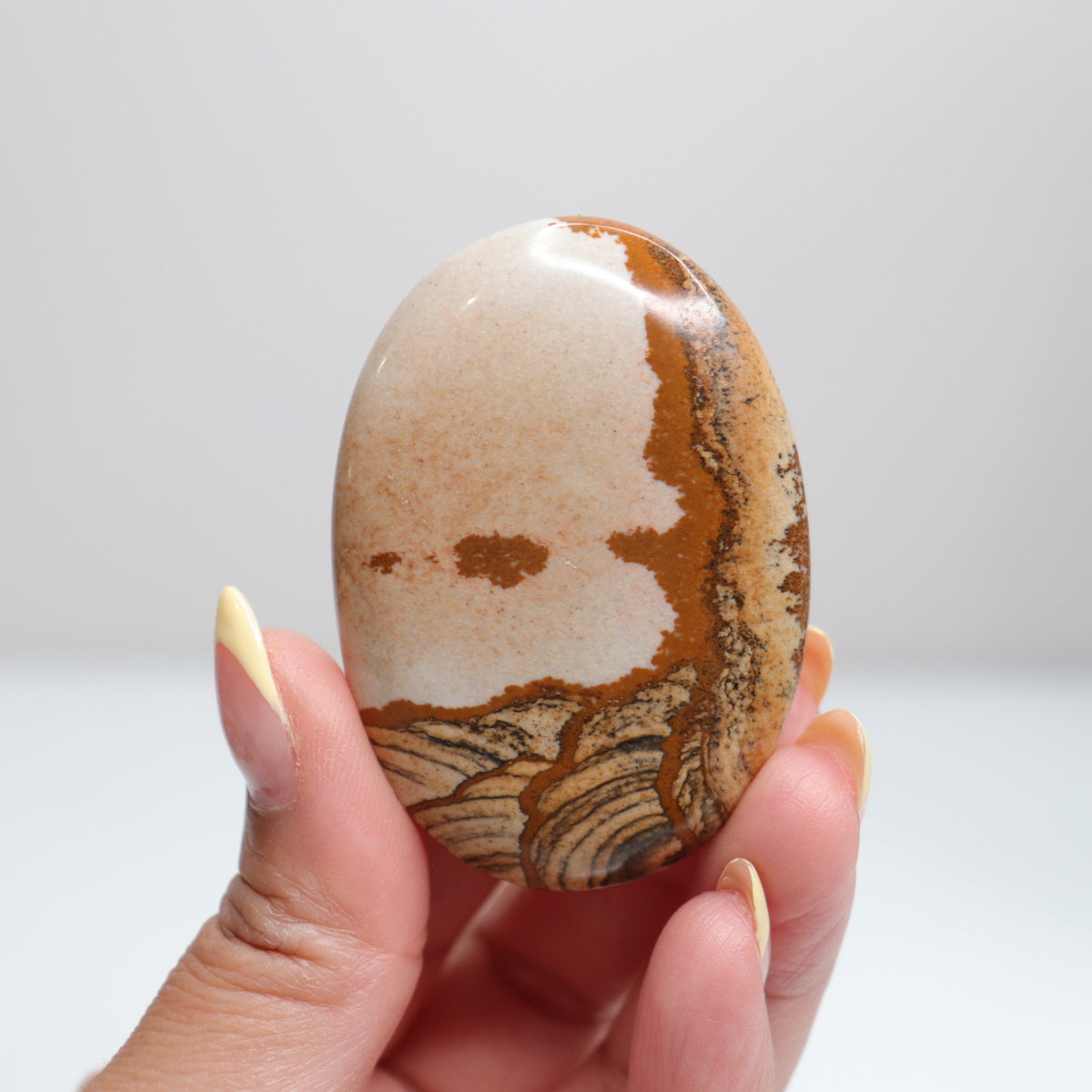 Picture Jasper Palm Stone 11