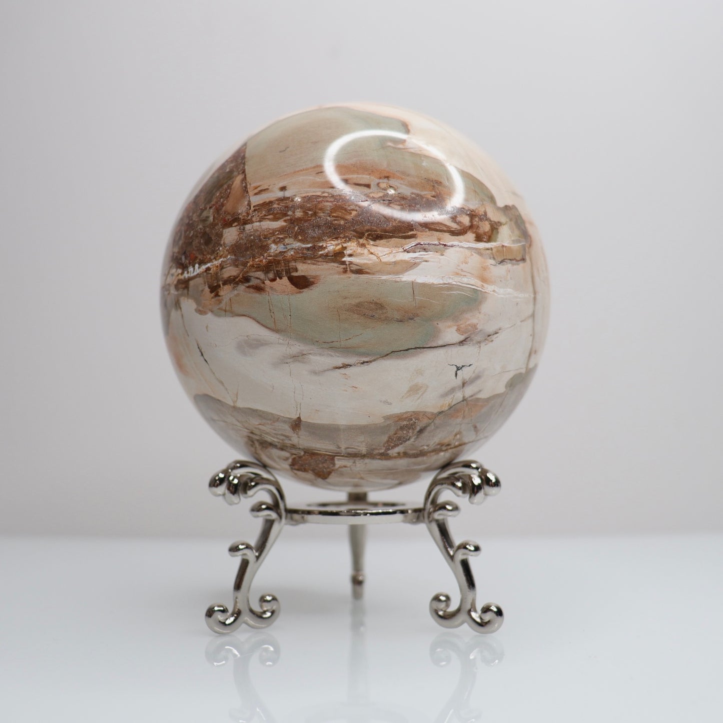 Petrified Wood Sphere | Large