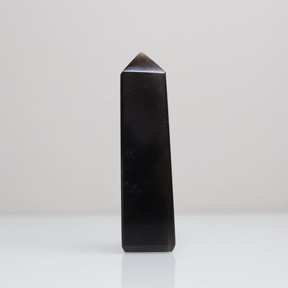 Blue Opal Tower 161