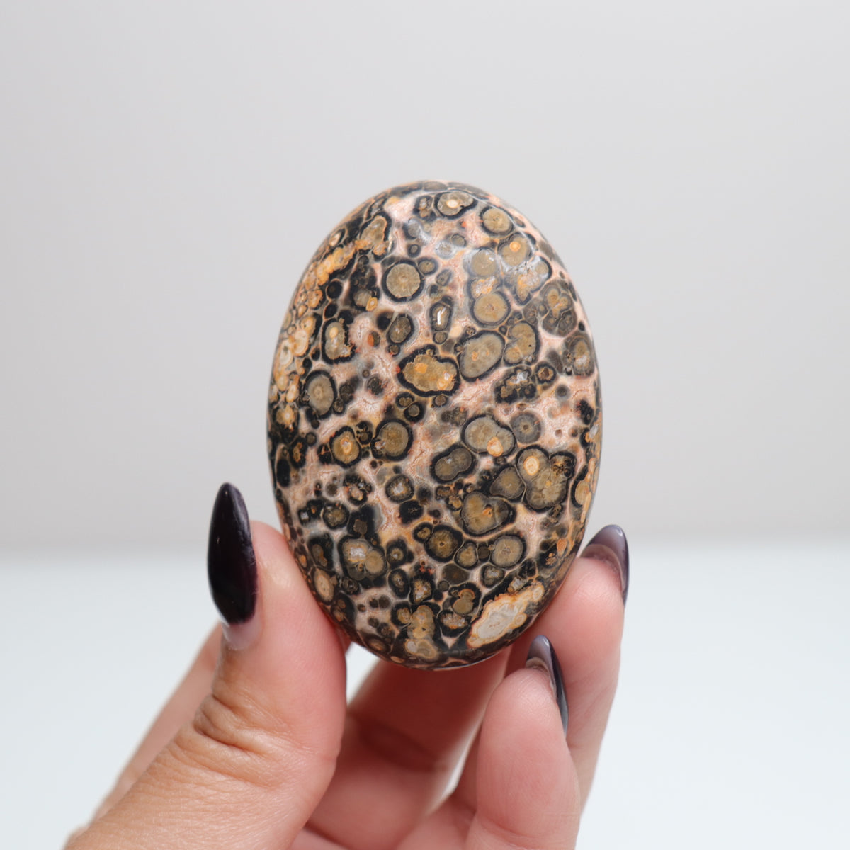 Leopard Skin Jasper Palm Stone | 24