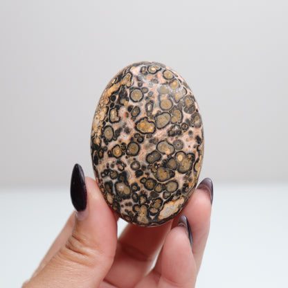 Leopard Skin Jasper Palm Stone | 24