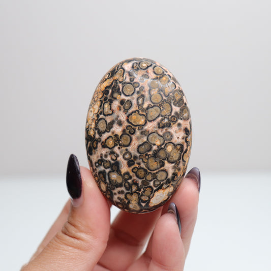 Leopard Skin Jasper Palm Stone | 24