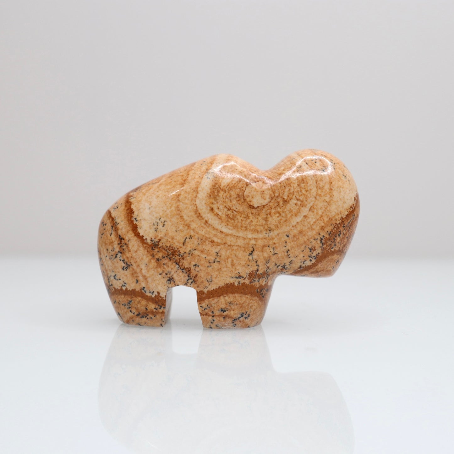 Picture Jasper Bison 4