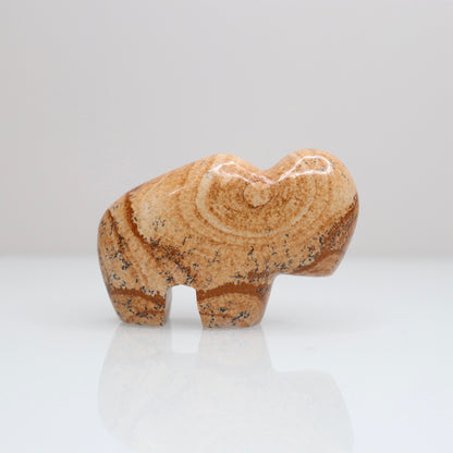 Picture Jasper Bison 4