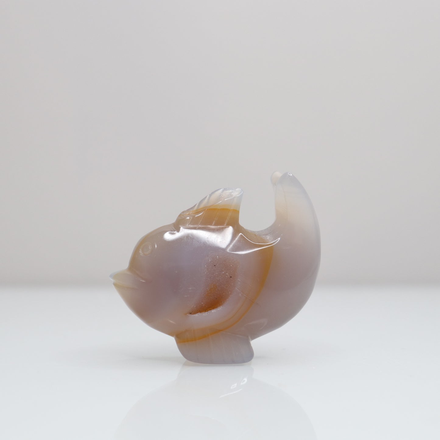 Agate Dolphin | 2