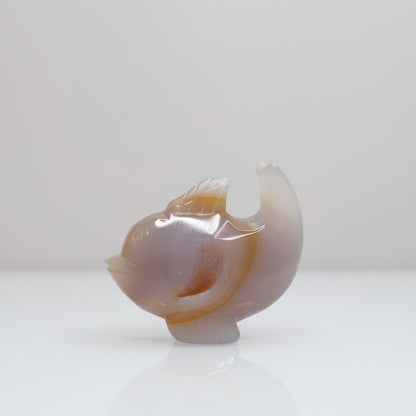 Agate Dolphin | 2