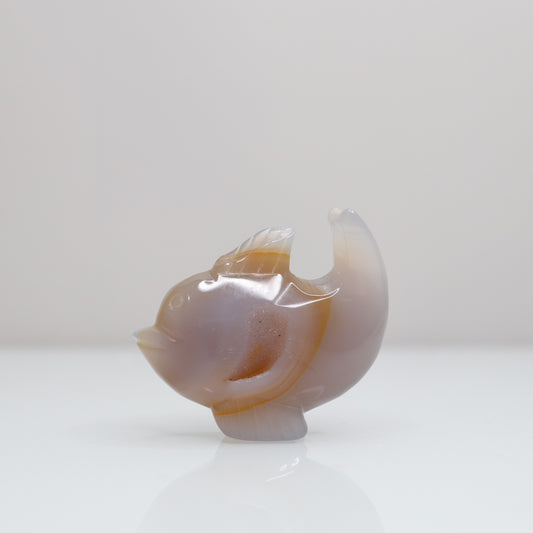 Agate Dolphin | 2