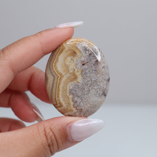 Mexican Lace Agate Palm Stone | 57