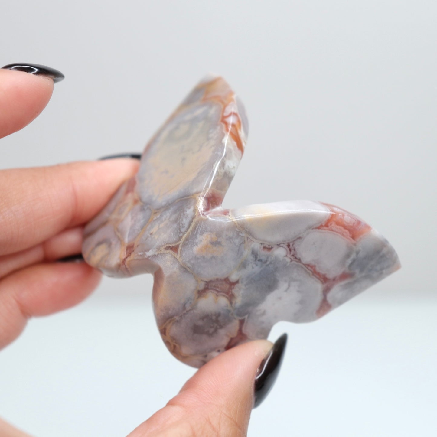 Cobra Jasper Butterfly 8