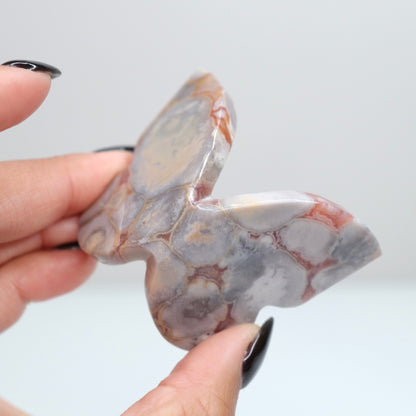 Cobra Jasper Butterfly 8