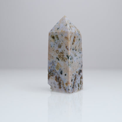 Ocean Jasper Tower | 4