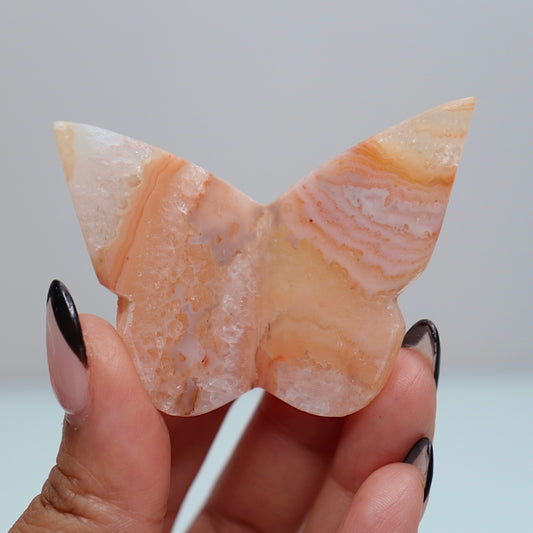 3D Carnelian Butterfly | E