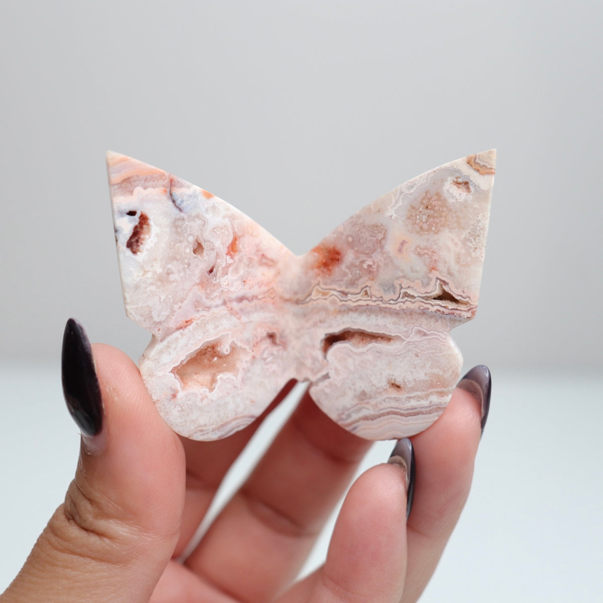 Crazy Lace Agate Butterfly | 14