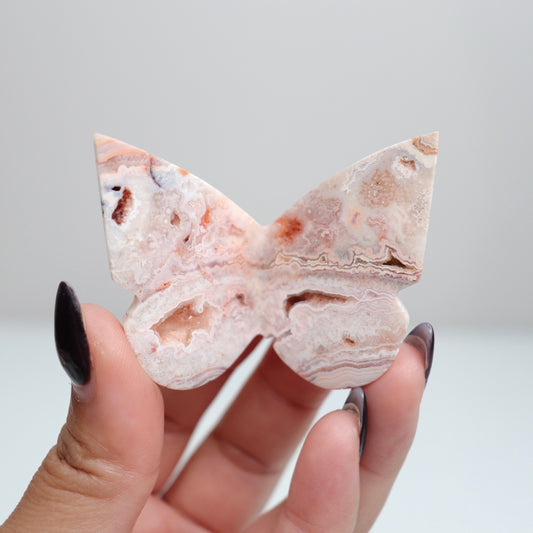Crazy Lace Agate Butterfly | 14