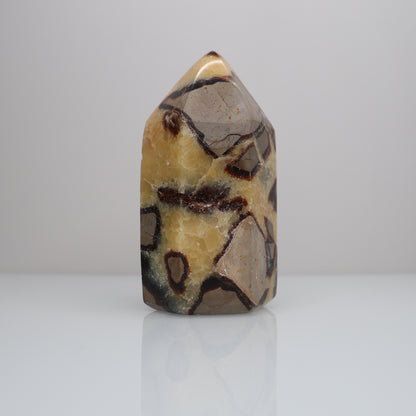 Septarian Tower | 1