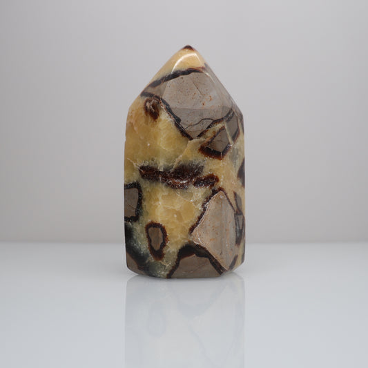 Septarian Tower | 1