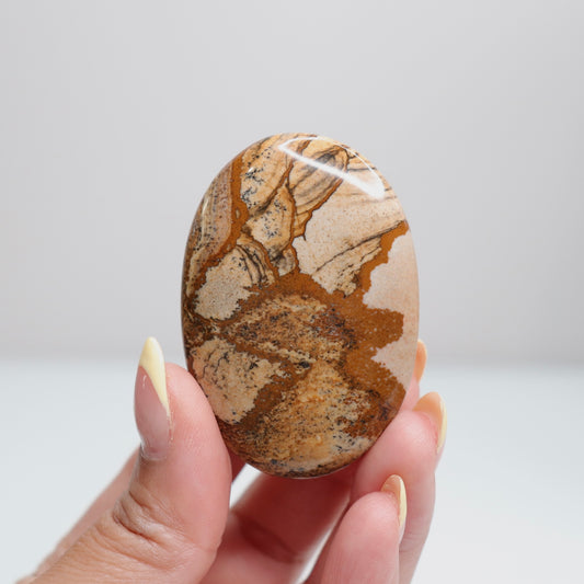 Picture Jasper Palm Stone 16