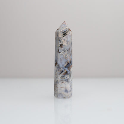 Ocean Jasper Tower | 79