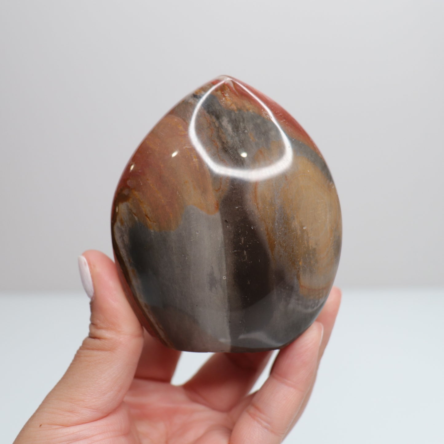 Polychrome Freeform 6