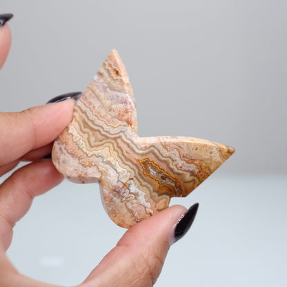 Crazy Lace Agate Butterfly | 4