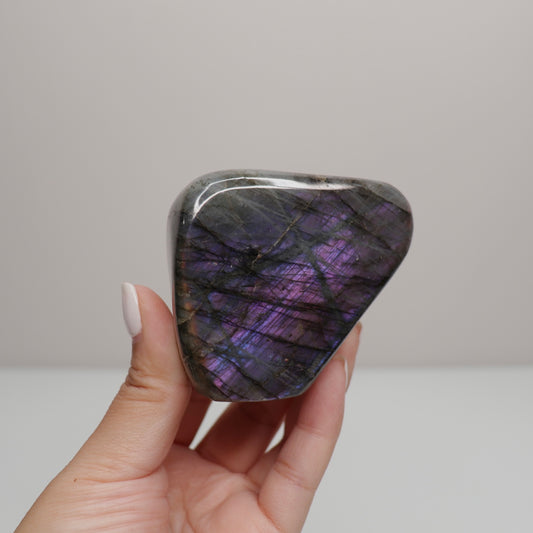 Purple Labradorite Freeform | 5