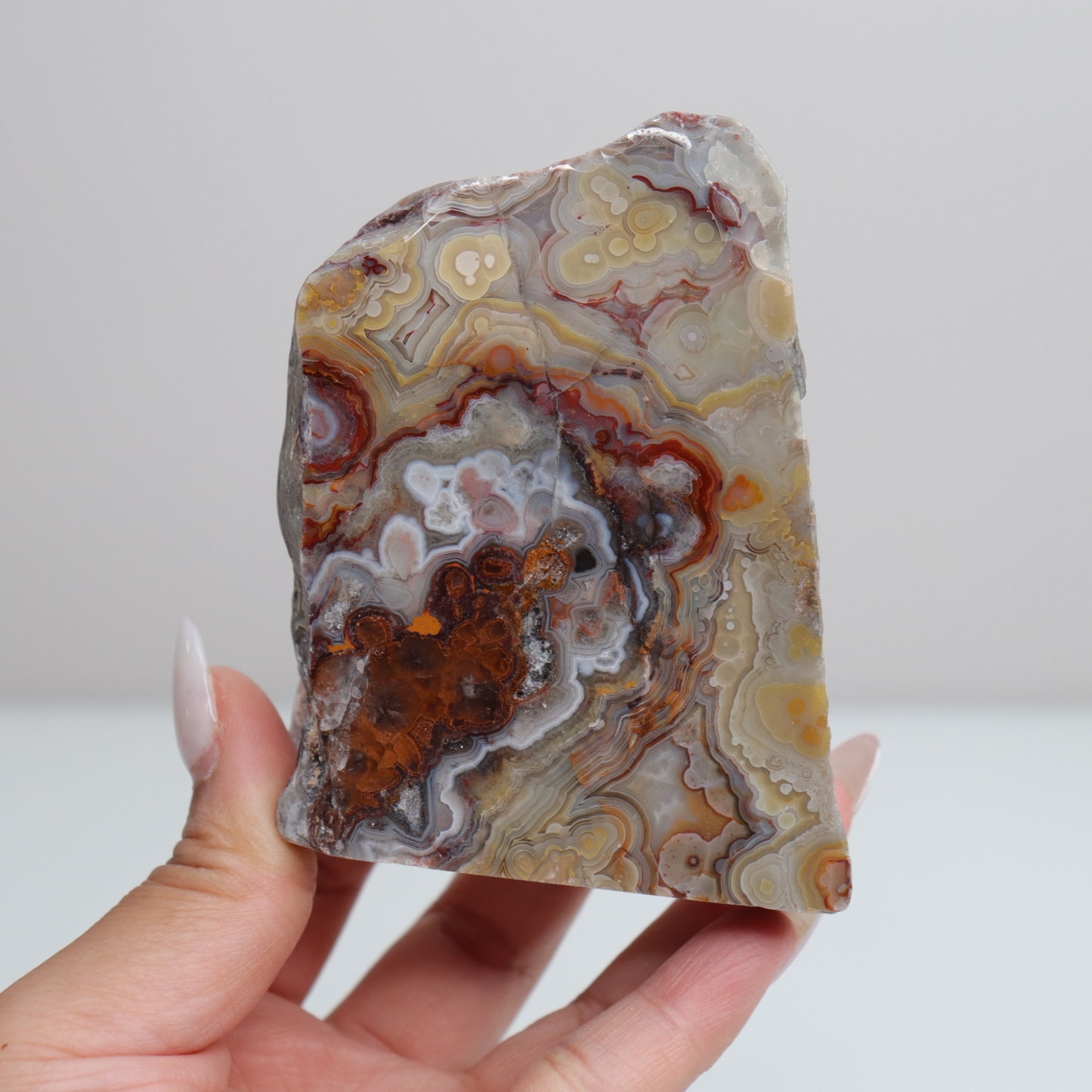 Laguna Lace Agate | L