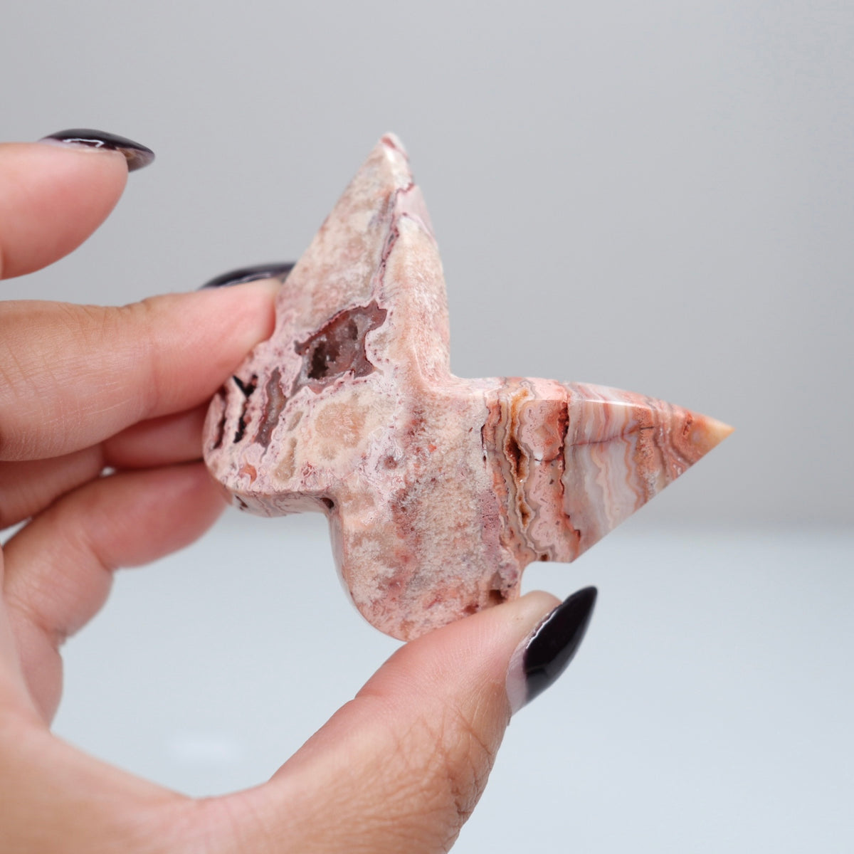 Crazy Lace Agate Butterfly | 11
