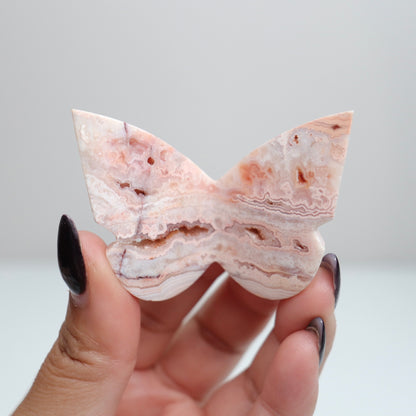 Crazy Lace Agate Butterfly | 15