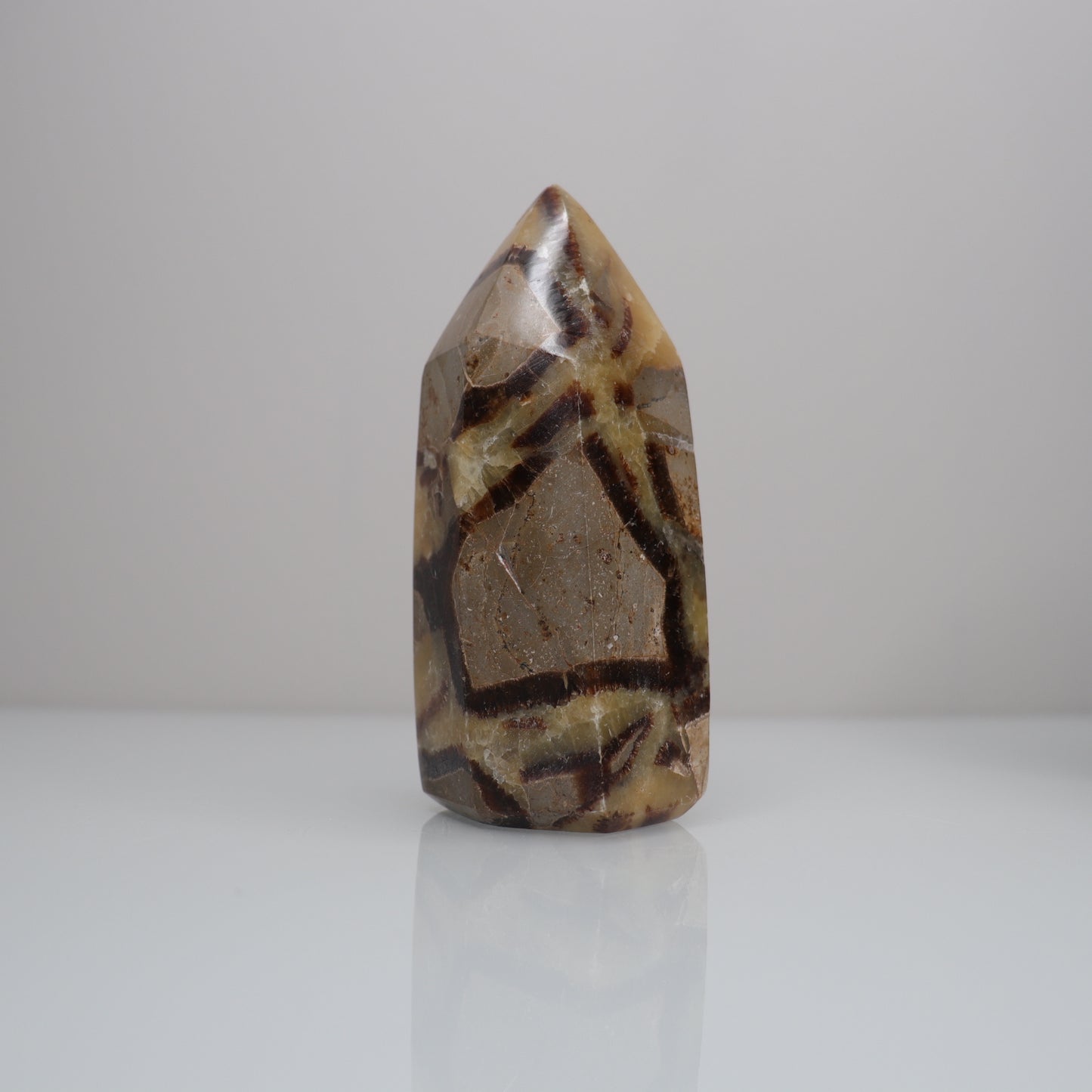 Septarian Tower | 4