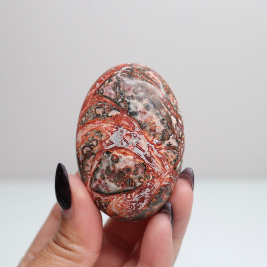 Leopard Skin Jasper Palm Stone | 34